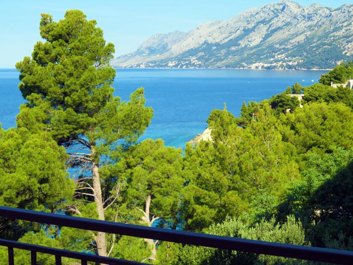 Apartments Pino بريلا المظهر الخارجي الصورة