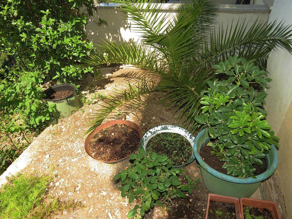 Apartments Pino بريلا المظهر الخارجي الصورة