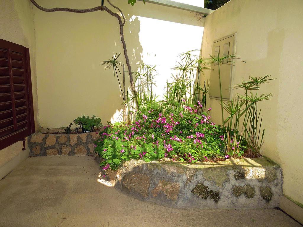 Apartments Pino بريلا المظهر الخارجي الصورة