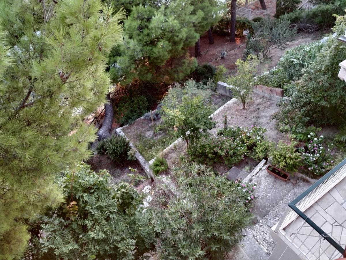 Apartments Pino بريلا المظهر الخارجي الصورة